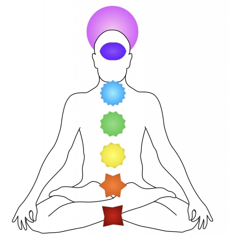 Los Chakras, Un Sistema importante de Energía y Campos Vibracionales de los Seres Humanos